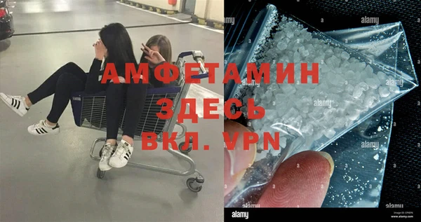 индика Алексеевка