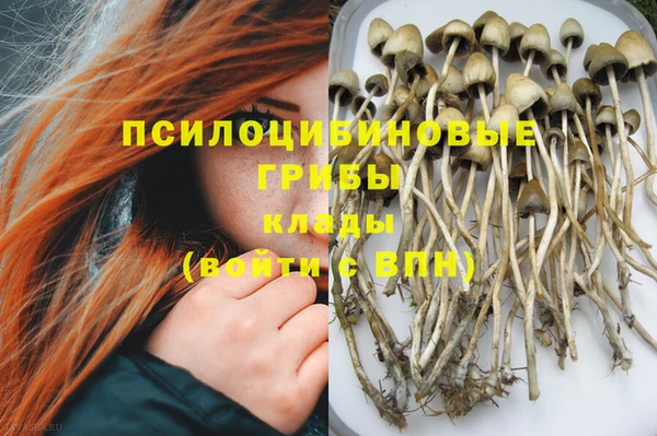 индика Алексеевка
