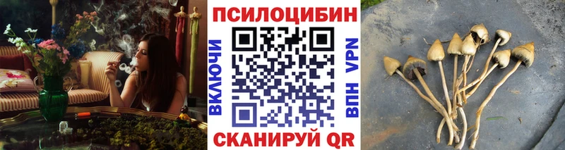 mega как войти  Белоозёрский  Галлюциногенные грибы ЛСД  наркошоп 